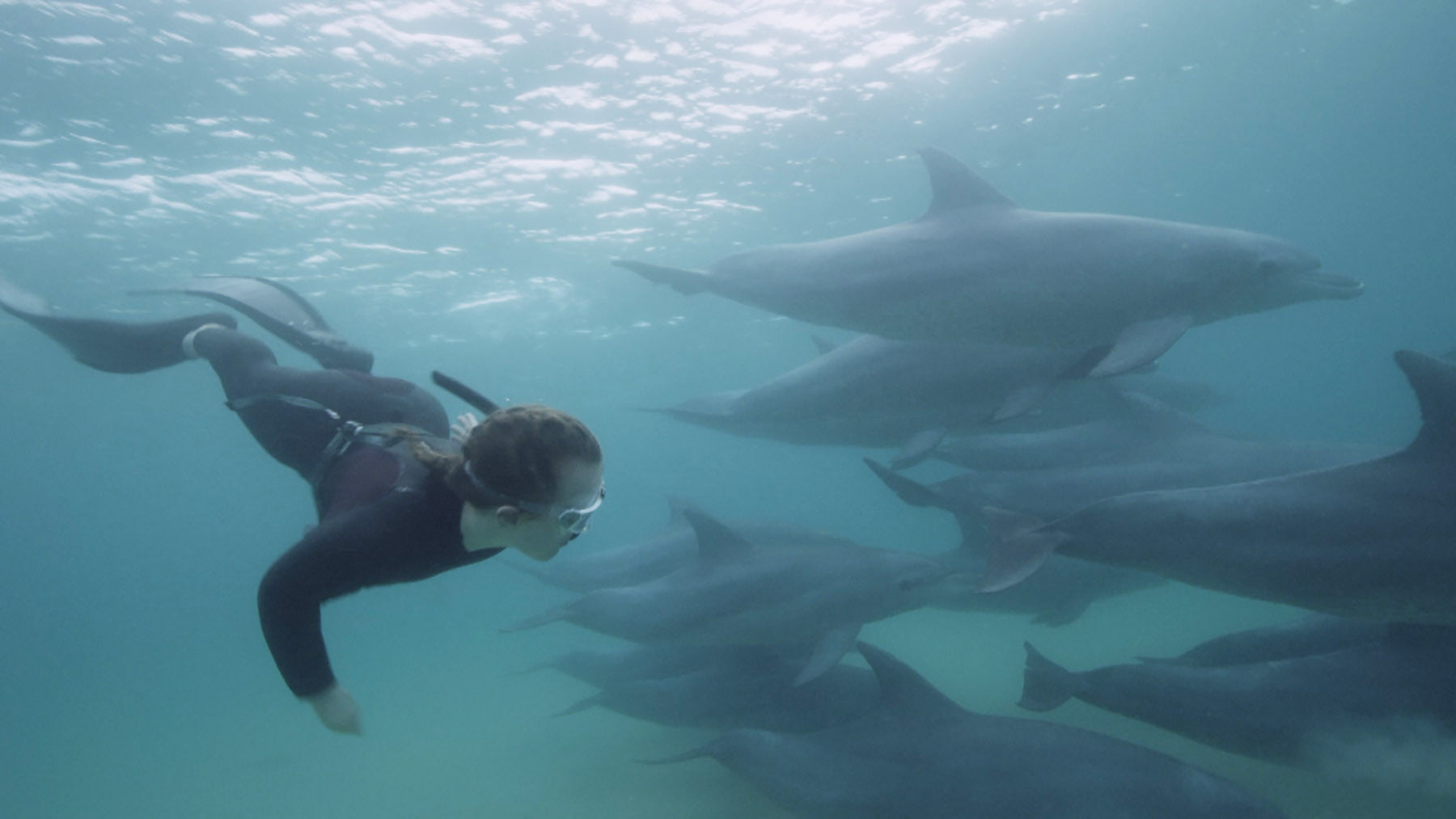 Ellie Simmonds freediving with Dolphins in Mozambique