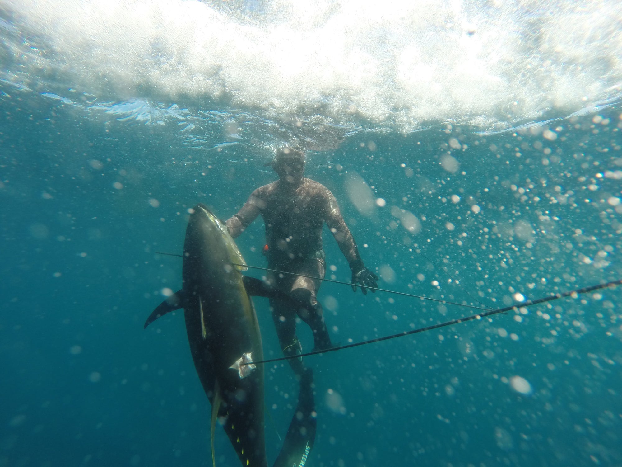 Jacques Theron Yellowfin Tuna Big Wave Surfer