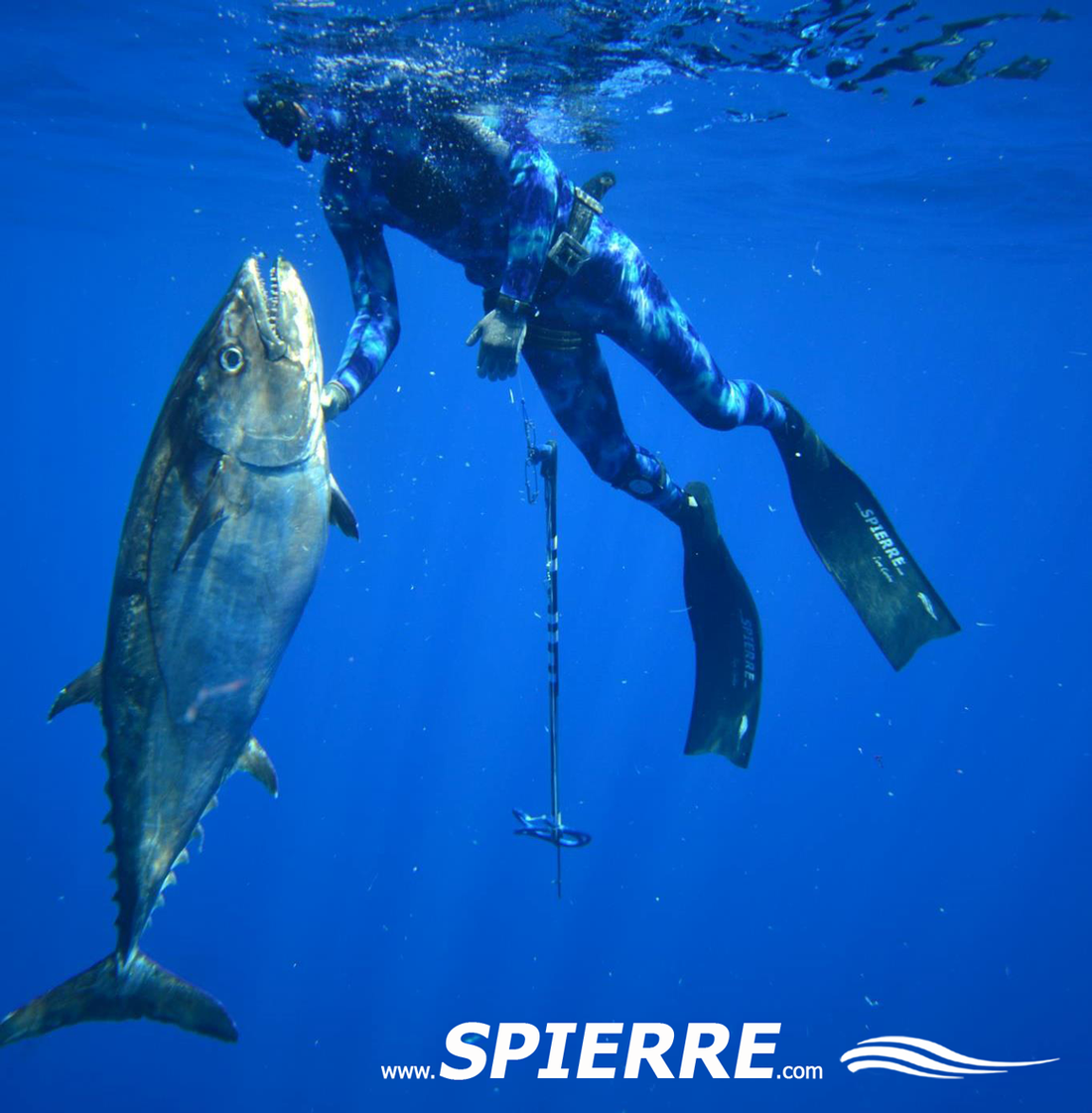 Blue water hunting in North Queensland, Australia