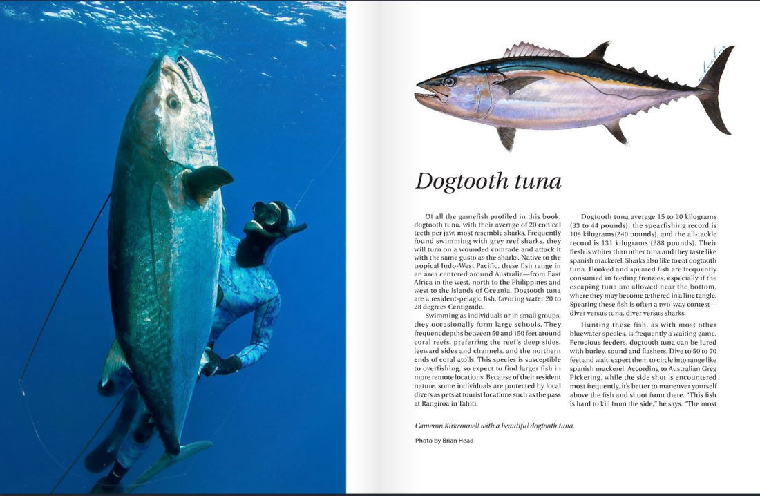 Blue Water Hunting and Freediving by Terry Maas