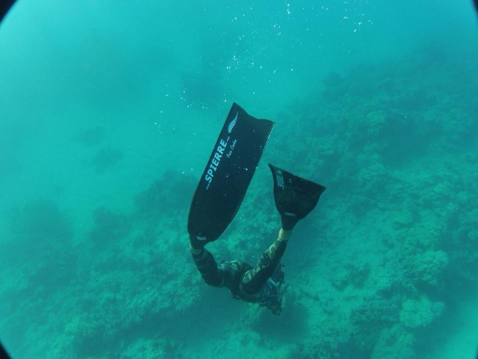 Curtis Geary Freediving Hawaii with Spierre Pure Carbons